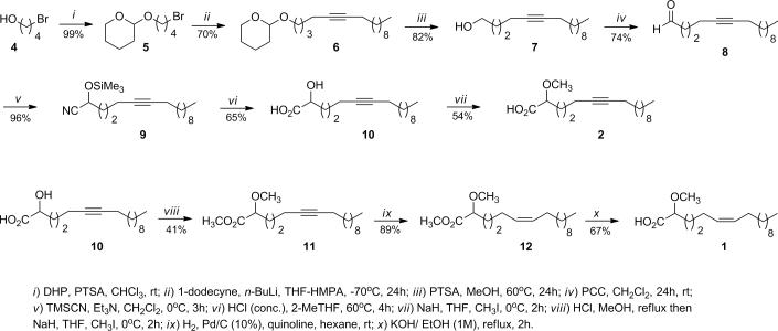 Scheme 1