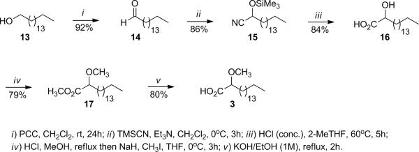 Scheme 2