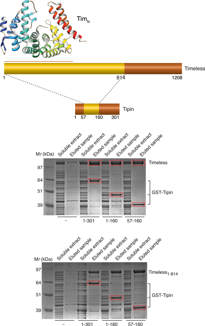 Figure 5.