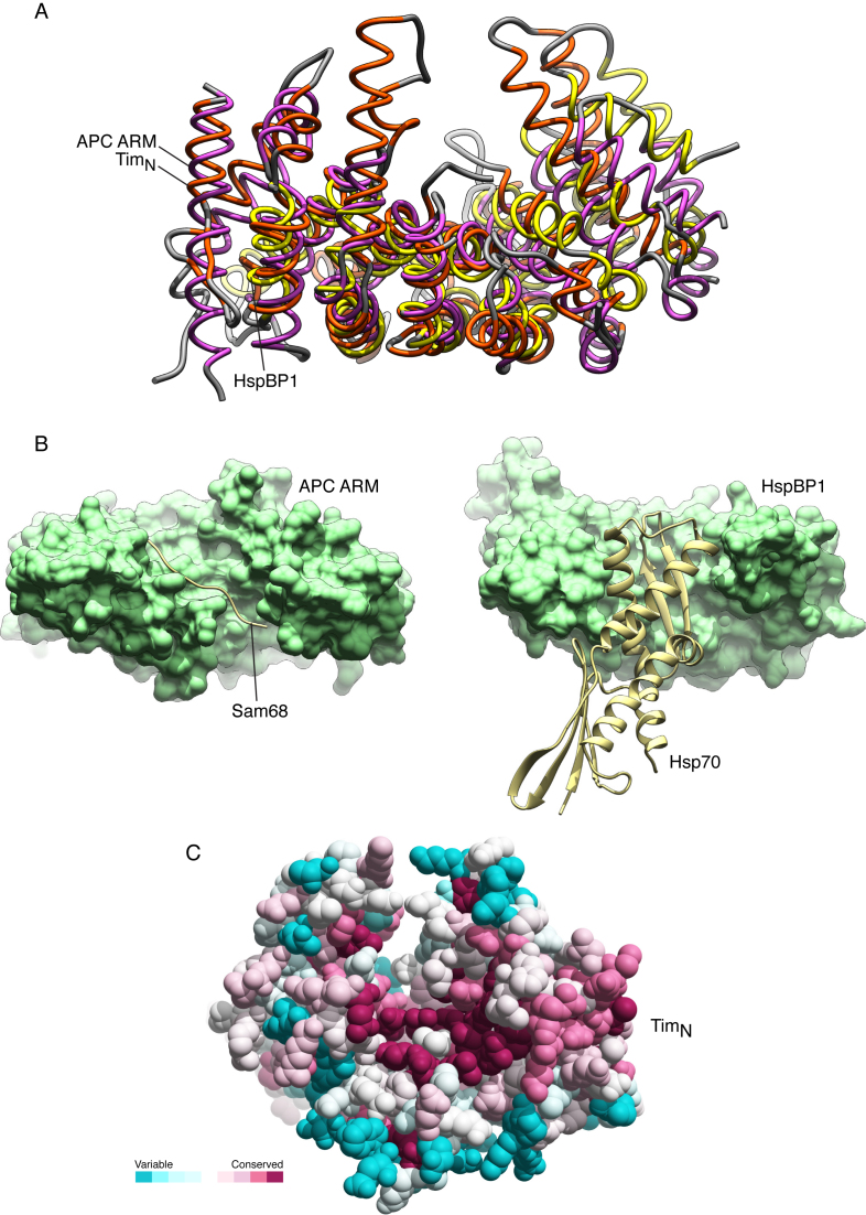 Figure 2.