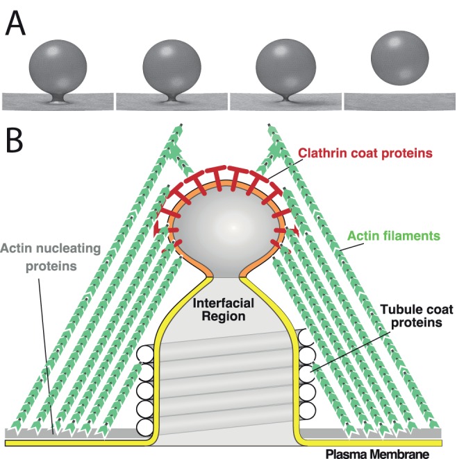 FIGURE 1: