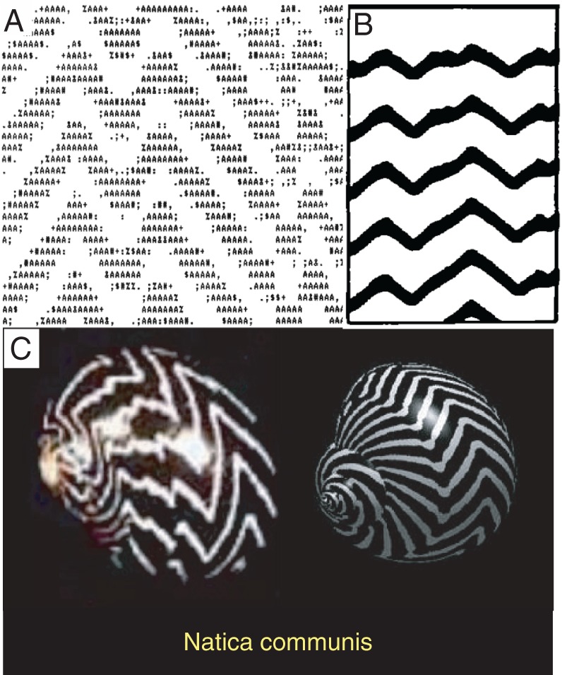 FIGURE 3: