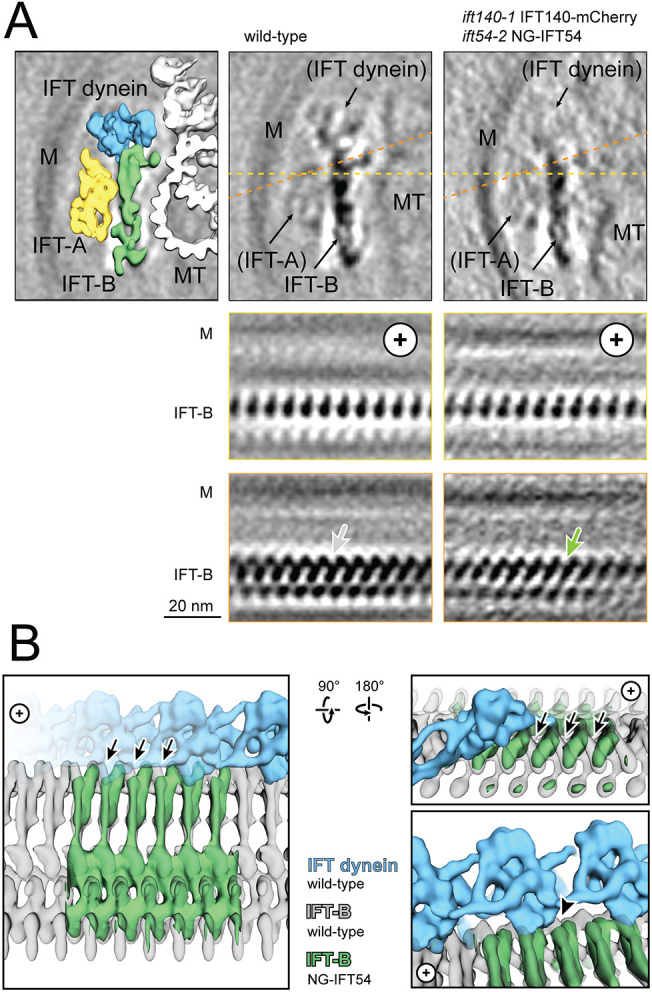 Fig. 7.