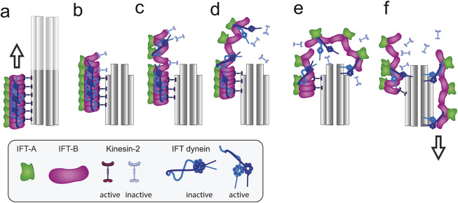 Fig. 8.