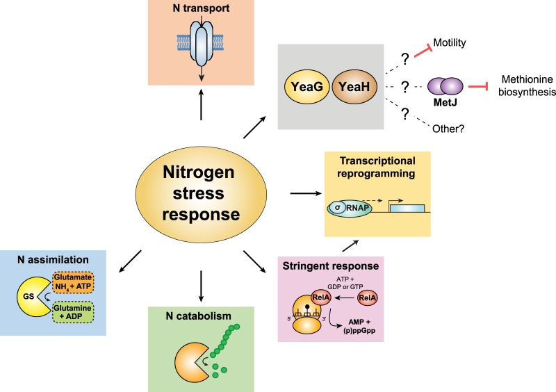 Figure 3.