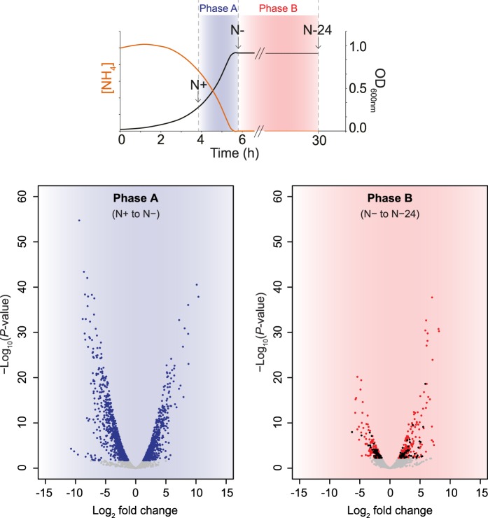 Figure 4.