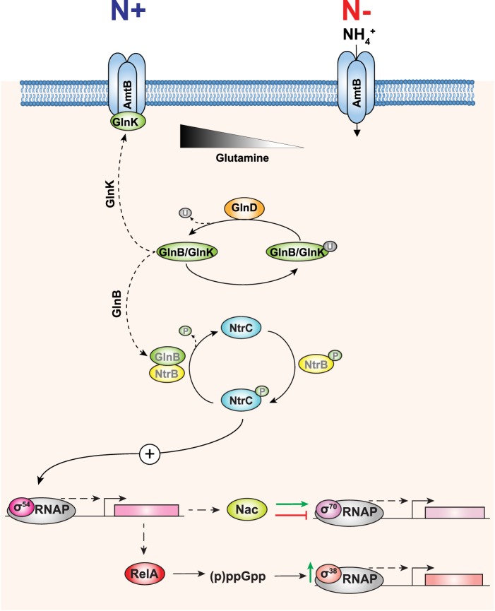 Figure 2.