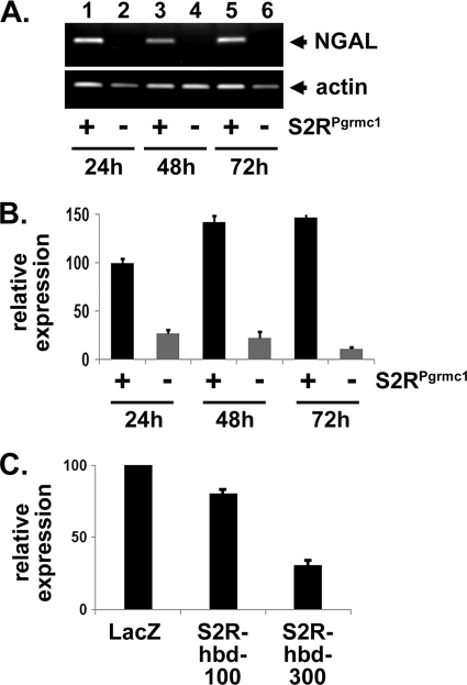 FIGURE 3.