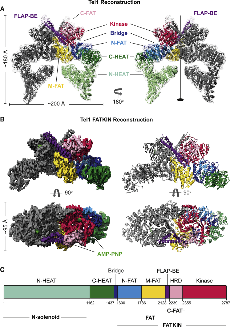 Figure 1