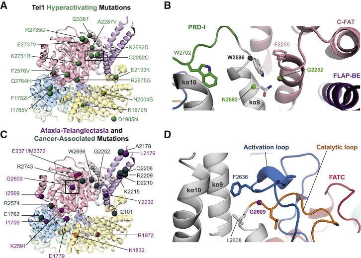 Figure 4