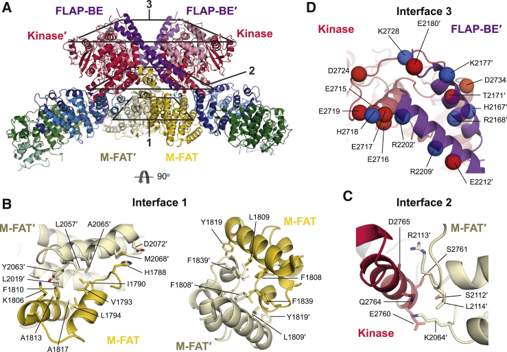 Figure 2