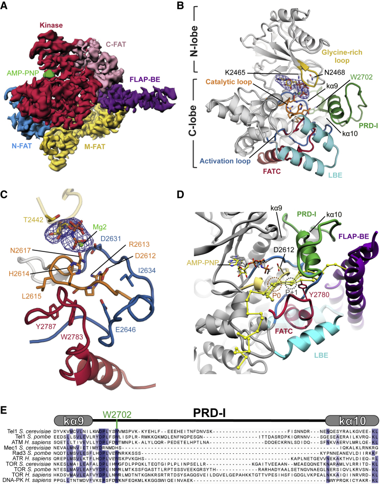 Figure 3