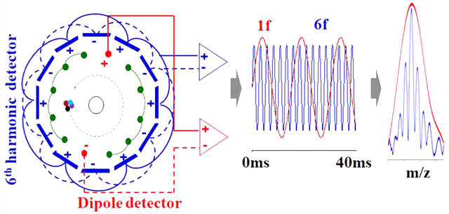 graphic file with name nihms-1678929-f0001.jpg