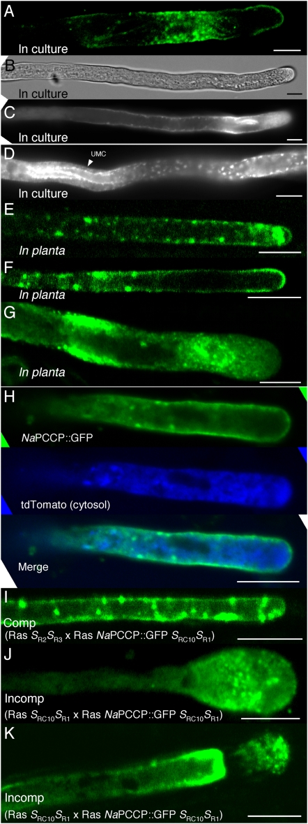 Figure 6.