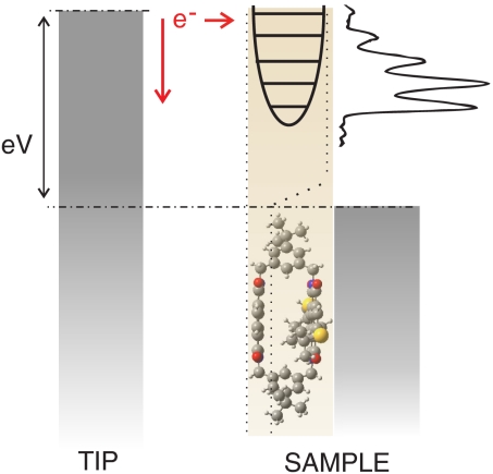 Fig. 3.