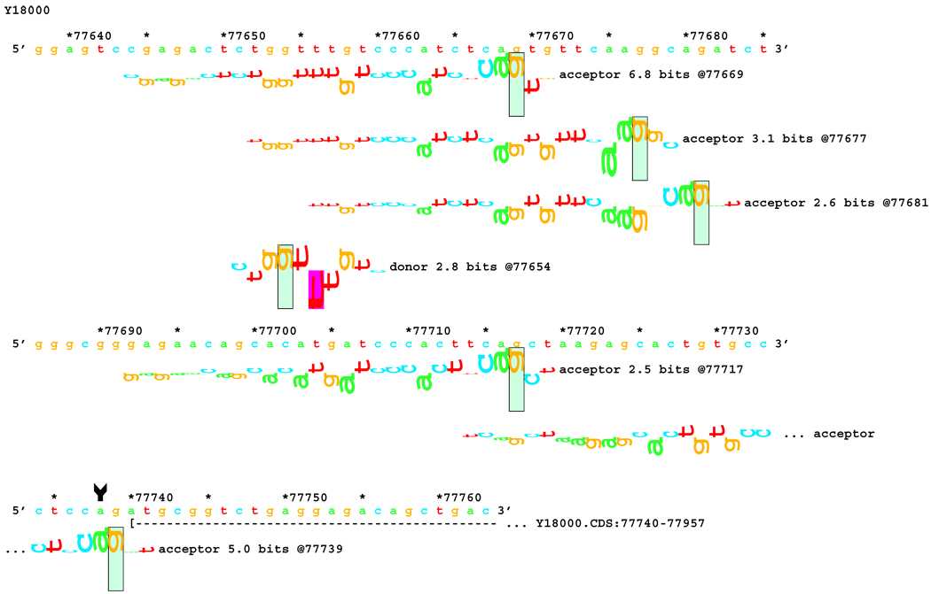 Figure 7