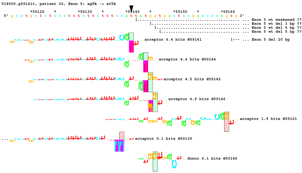 Figure 12