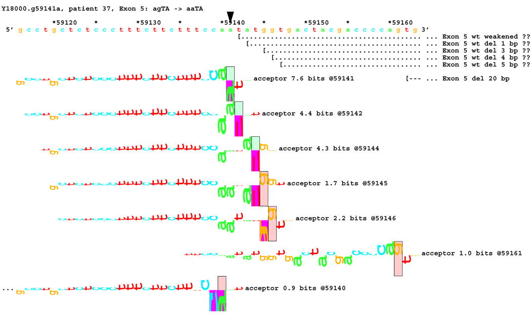 Figure 13