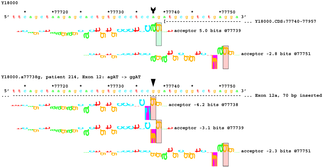 Figure 6