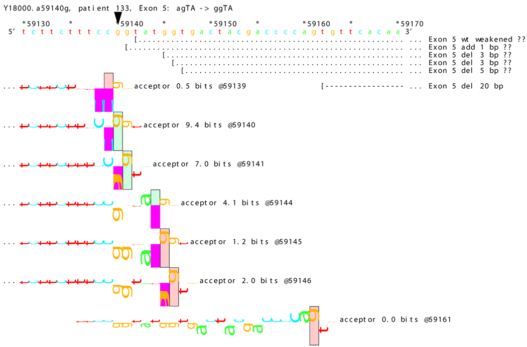 Figure 14