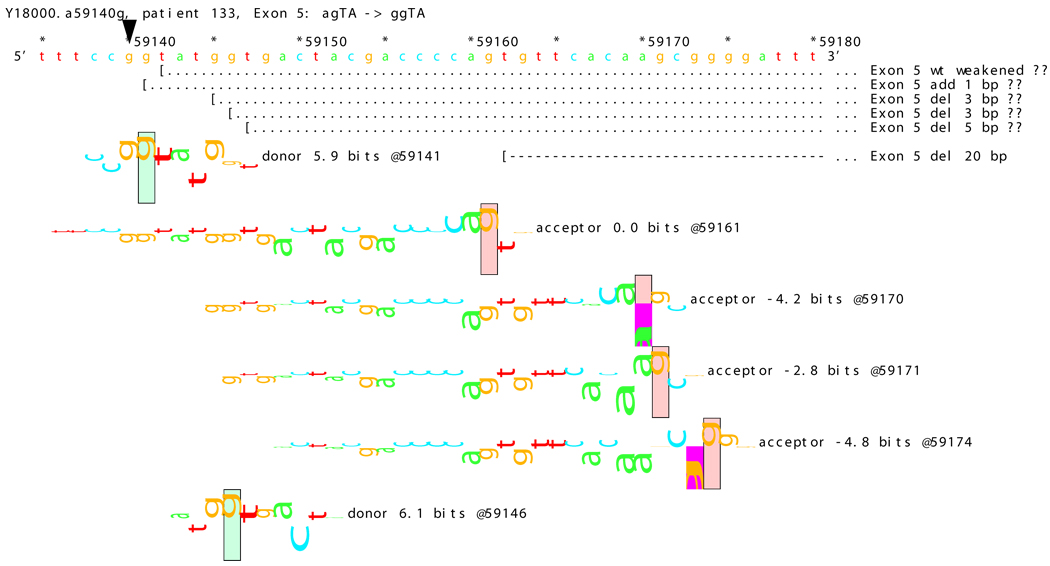 Figure 15