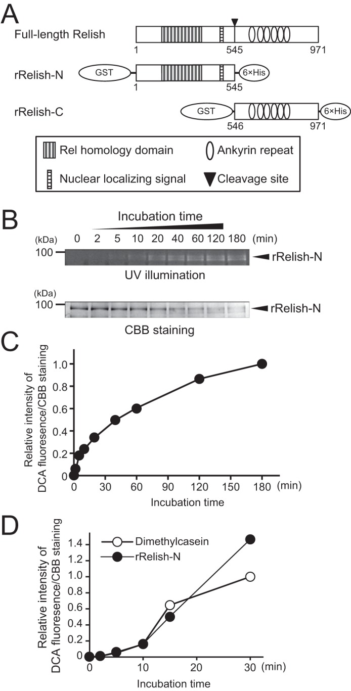 Figure 1.