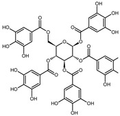 graphic file with name biomolecules-10-01574-i004.jpg