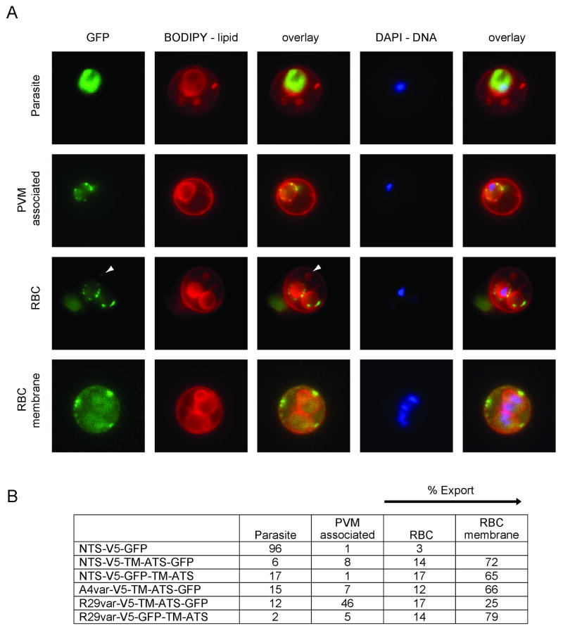 Fig. 4