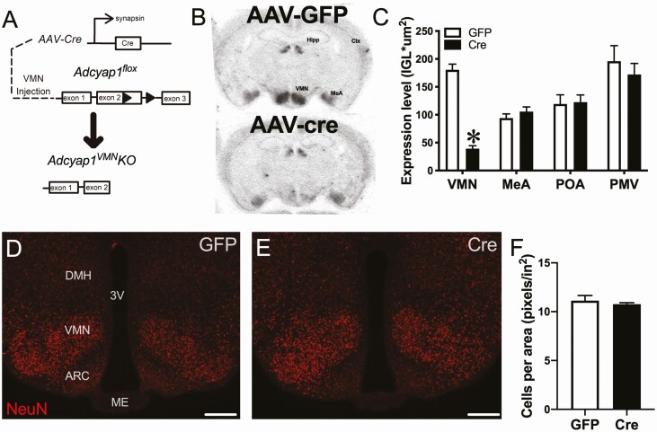 Figure 2.