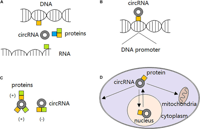 FIGURE 2