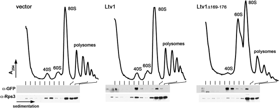 Figure 4.—