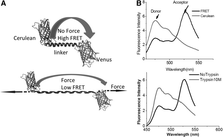 FIG. 4.