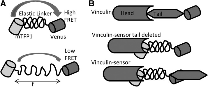 FIG. 9.