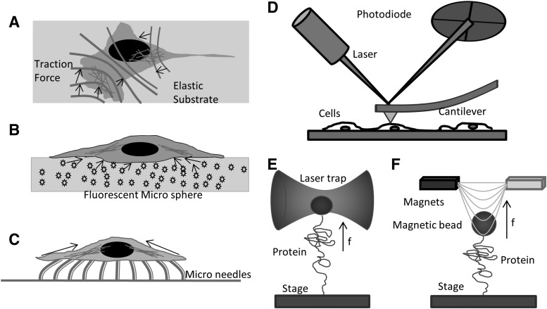 FIG. 1.