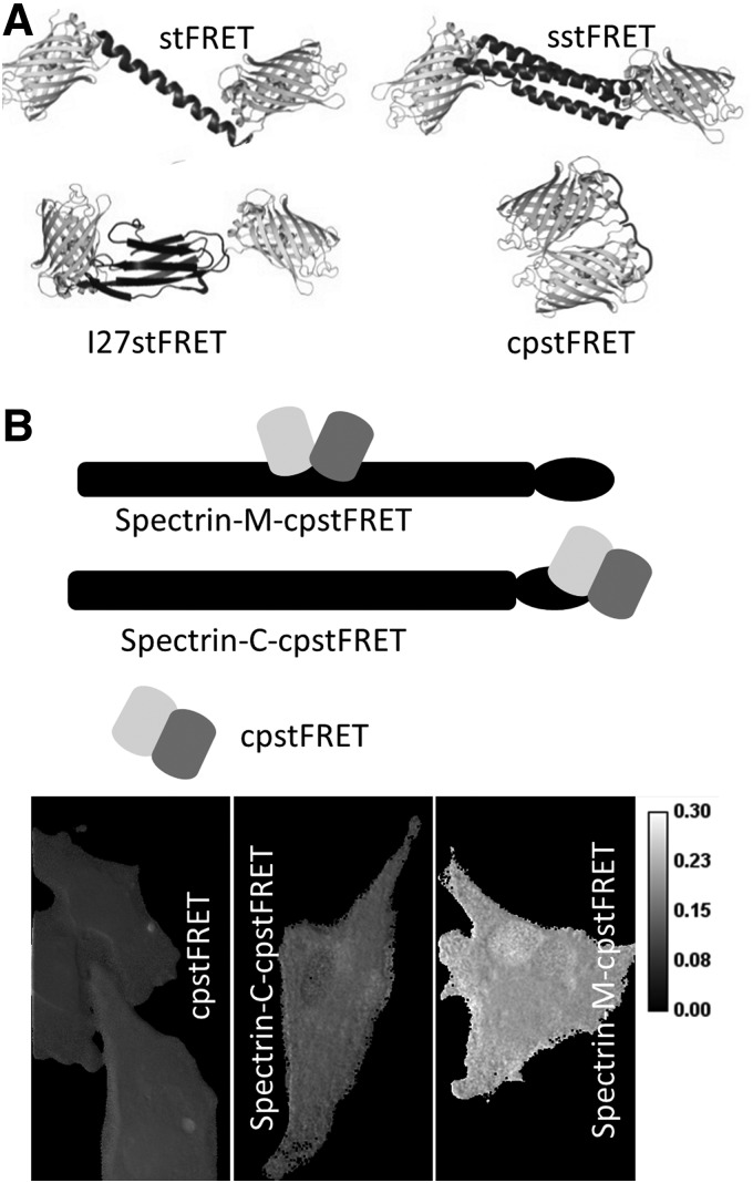 FIG. 8.