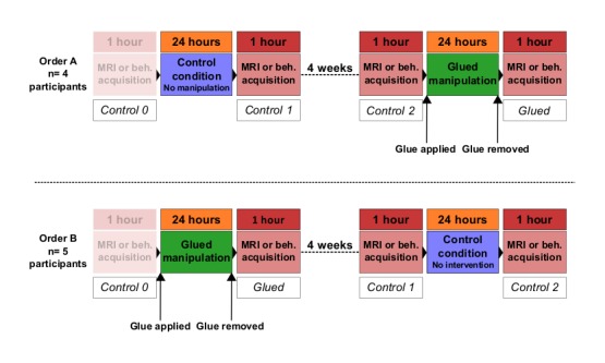 Figure 1—figure supplement 2.