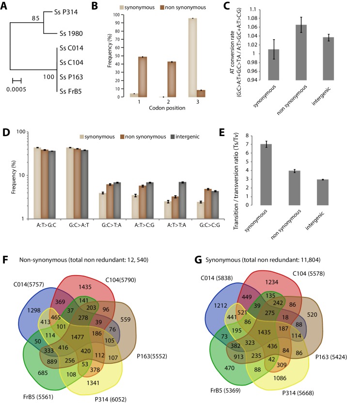 Figure 4—figure supplement 2.