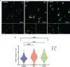 Figure 3