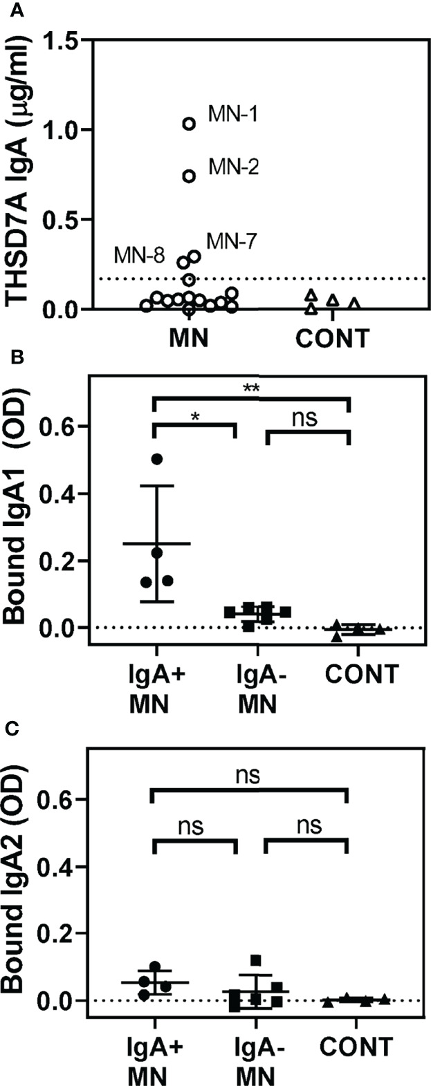 Figure 2