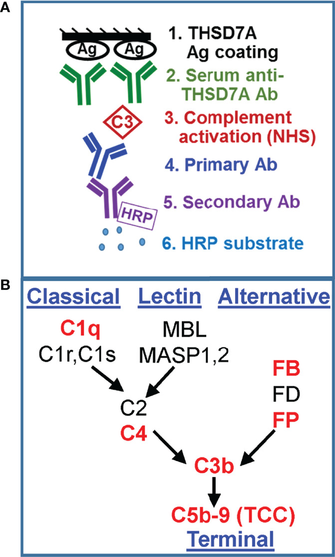 Figure 3