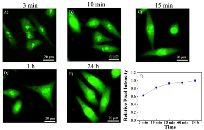 Fig. 6