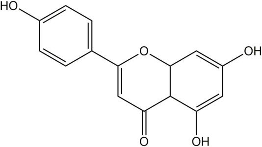 FIGURE 1