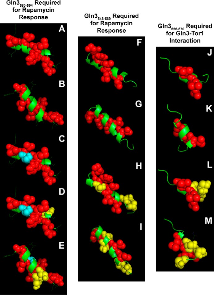 FIGURE 10.