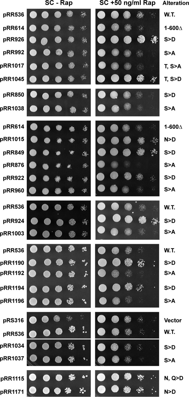 FIGURE 13.