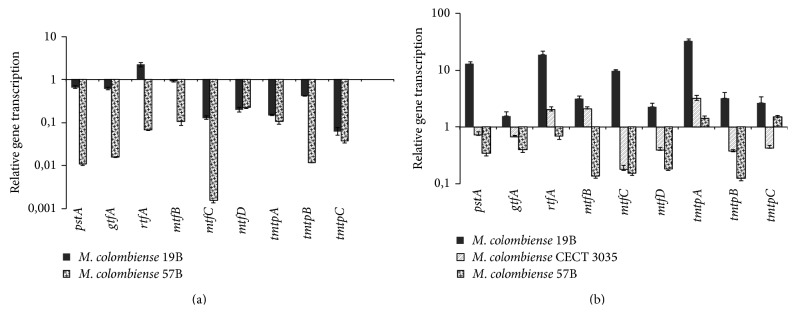 Figure 7