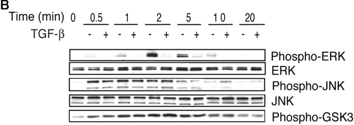 Figure 8.