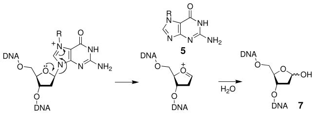 Scheme 6