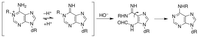 Scheme 8