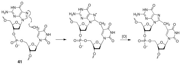 Scheme 18