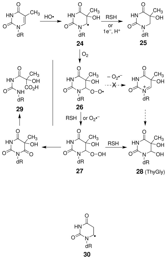 Scheme 15